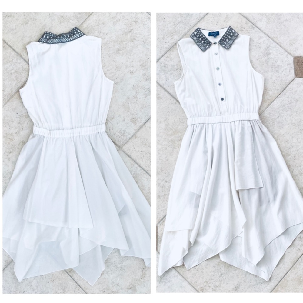 Gryphon Silk Beaded Collar Dress